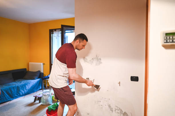 Best White Mold Remediation in North Royalton, OH